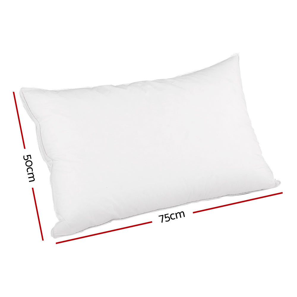 Giselle Bedding Goose Feather Down Twin Pack Pillow - Newstart Furniture
