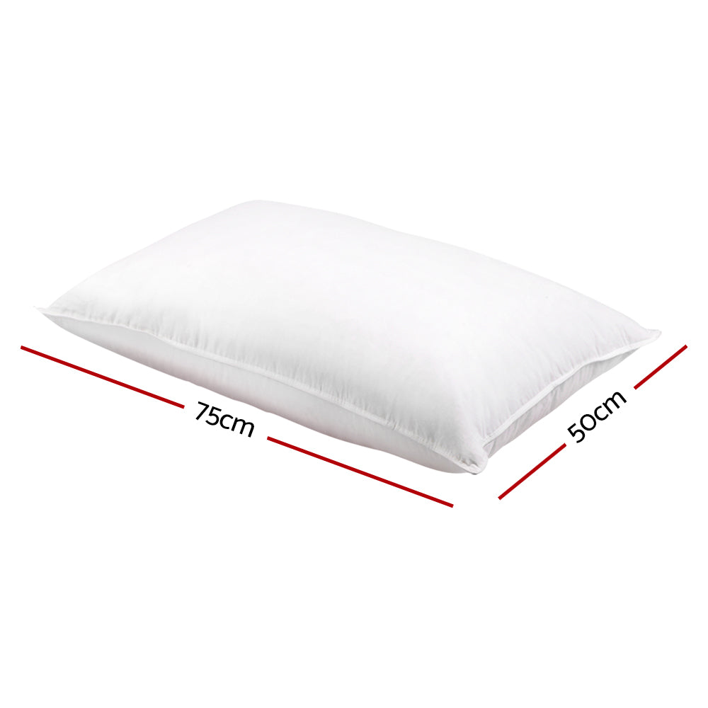 Giselle Bedding Set of 2 Goose Feather and Down Pillow - White - Newstart Furniture