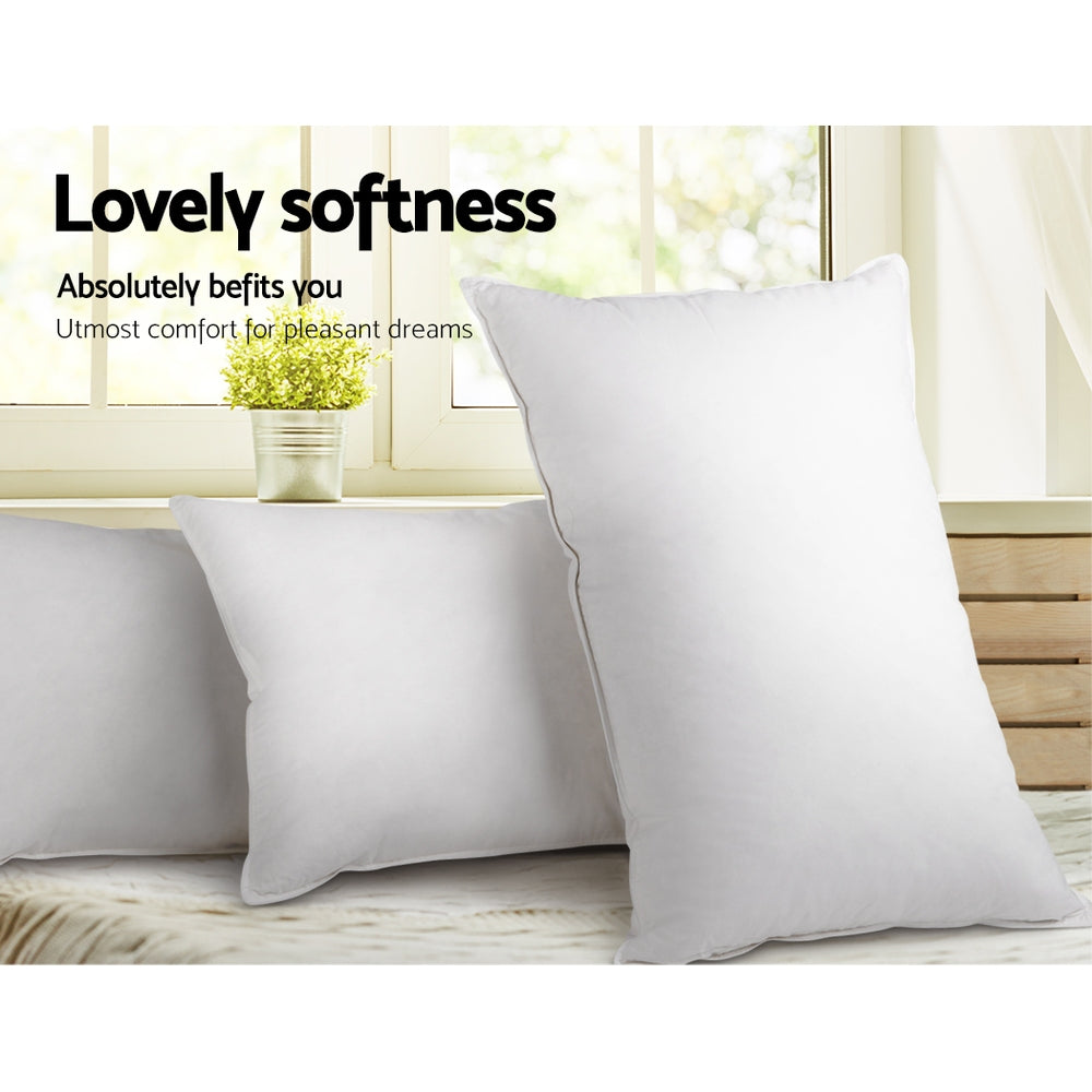 Giselle Bedding Set of 2 Goose Feather and Down Pillow - White - Newstart Furniture